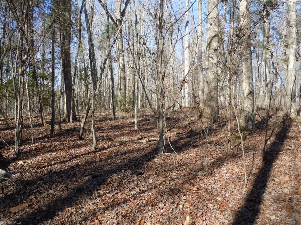 0 Germanton Road, Unit TRACT C Rural Hall, NC 27045 - Photo 15 of 18