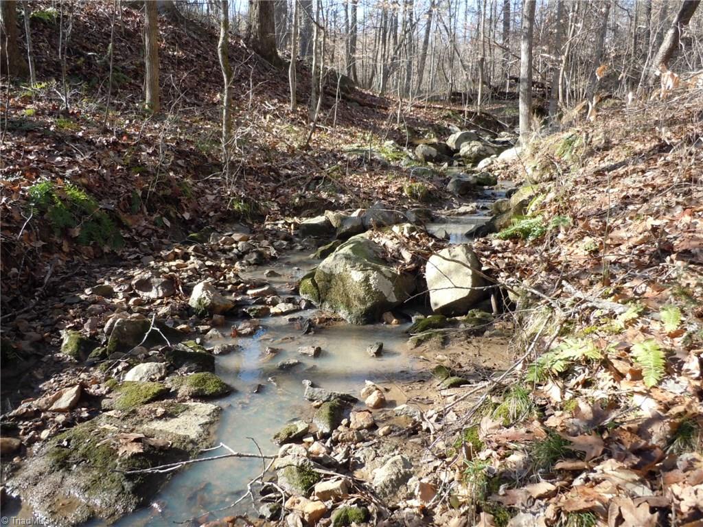 0 Germanton Road, Unit TRACT C Rural Hall, NC 27045 - Photo 3 of 18