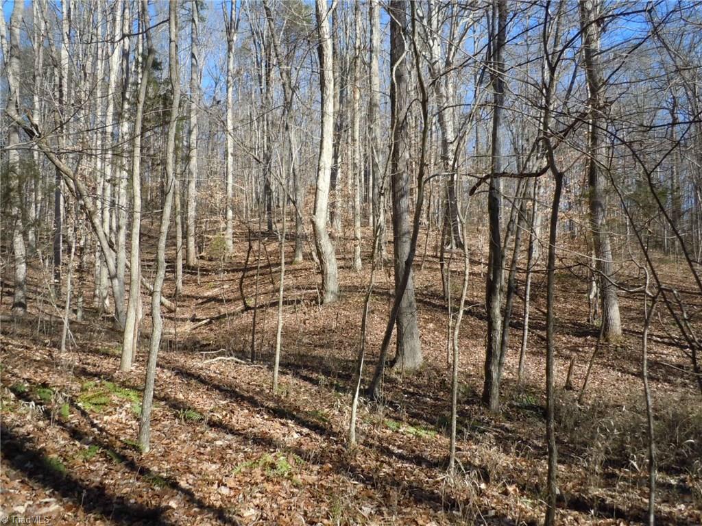 0 Germanton Road, Unit TRACT C Rural Hall, NC 27045 - Photo 4 of 18