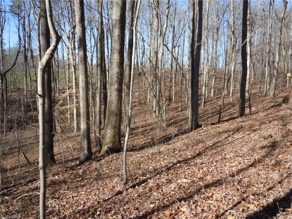 0 Germanton Road, Unit TRACT C Rural Hall, NC 27045 - Photo 5 of 18
