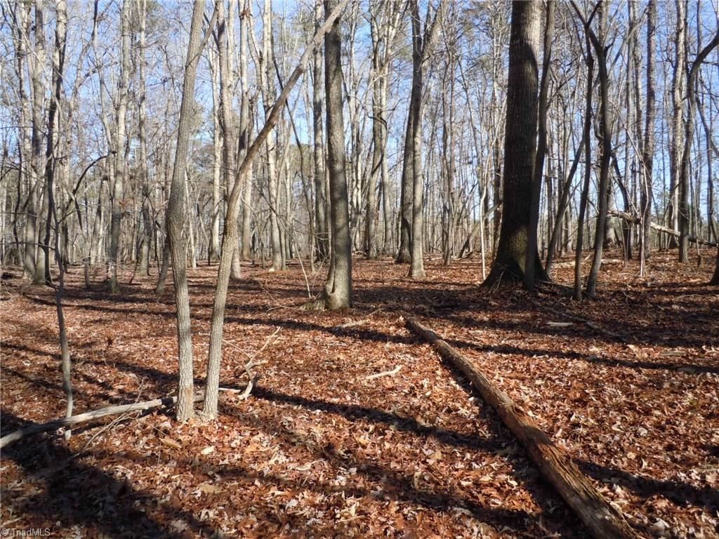 0 Germanton Road, Unit TRACT C Rural Hall, NC 27045 - Photo 6 of 18