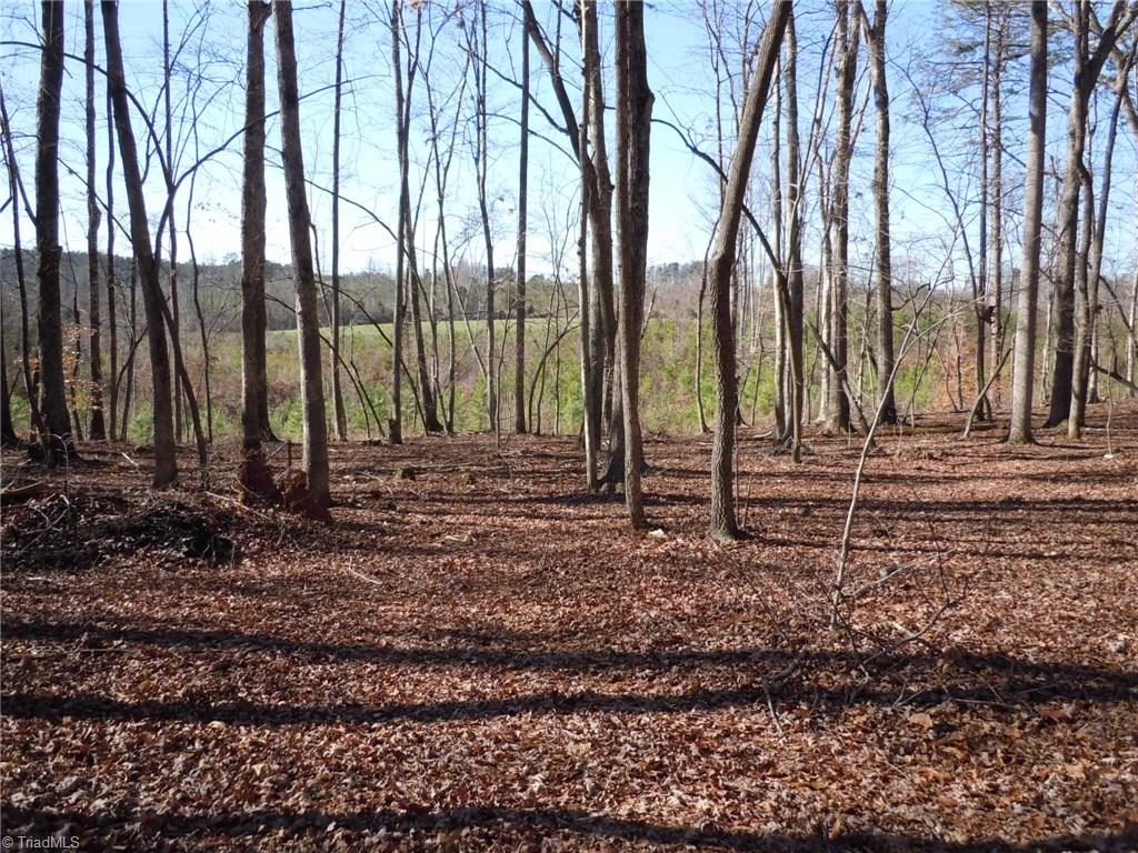 0 Germanton Road, Unit TRACT C Rural Hall, NC 27045 - Photo 7 of 18