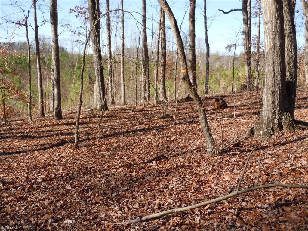 0 Germanton Road, Unit TRACT C Rural Hall, NC 27045 - Photo 8 of 18