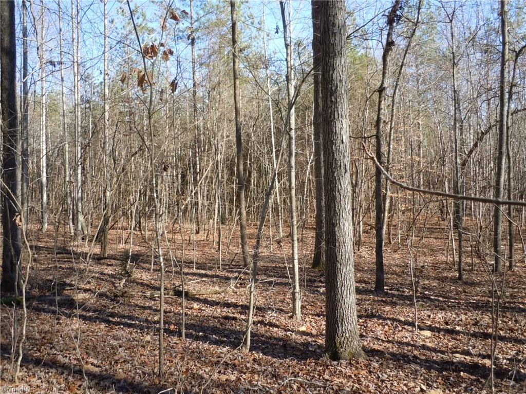 0 Germanton Road, Unit TRACT C Rural Hall, NC 27045 - Photo 9 of 18