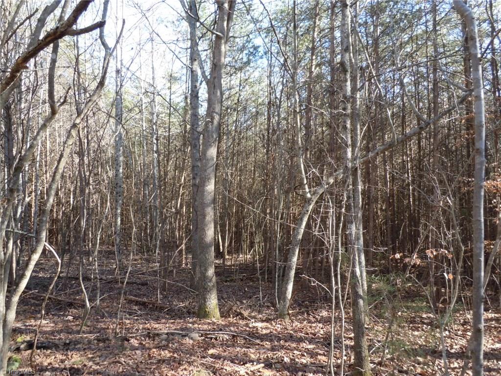 0 Germanton Road, Unit TRACT C Rural Hall, NC 27045 - Photo 10 of 18