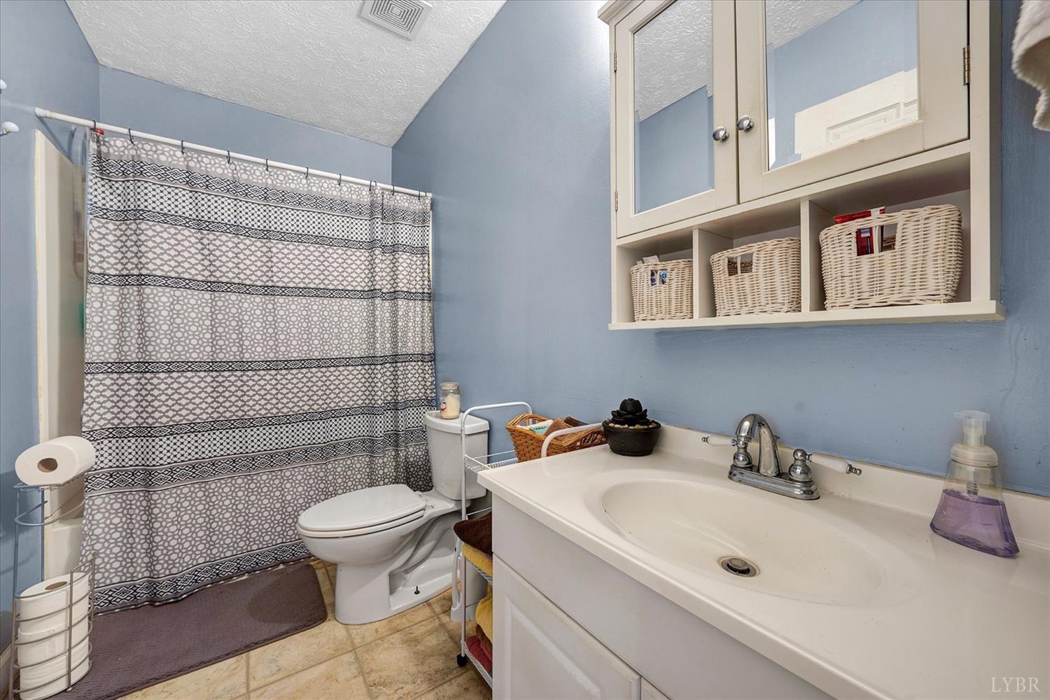 1408 Woodridge Road Blue Ridge, VA 24064 - Photo 21 of 39 a bathroom with a sink and a toilet
