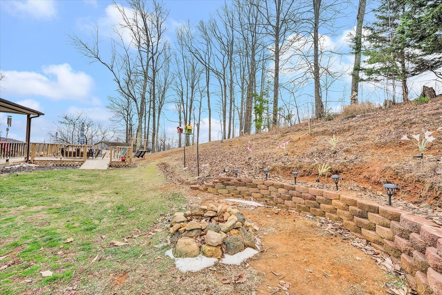 1408 Woodridge Road Blue Ridge, VA 24064 - Photo 35 of 39 a view of a yard with a tree