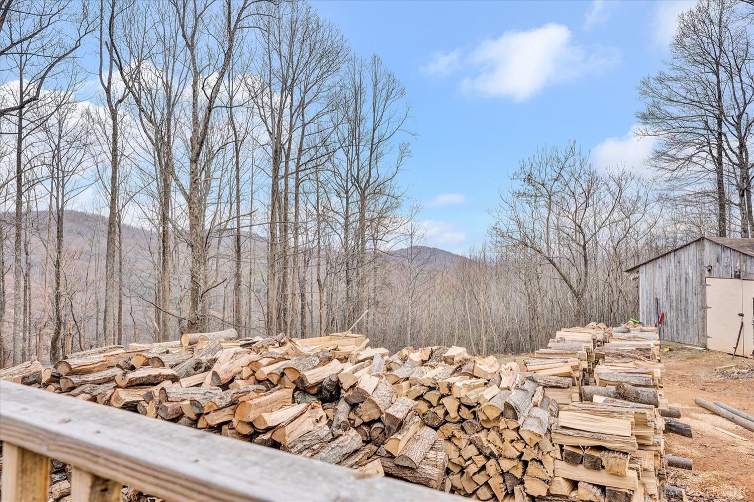 1408 Woodridge Road Blue Ridge, VA 24064 - Photo 37 of 39