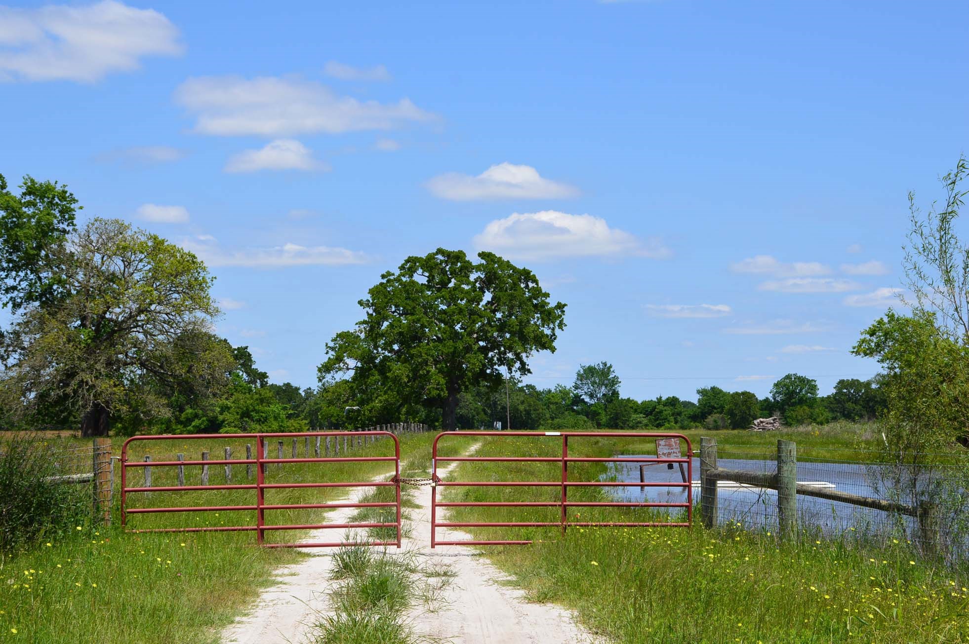 15130 Fm 39 Road Bedias, TX 77831 - Photo 2 of 26