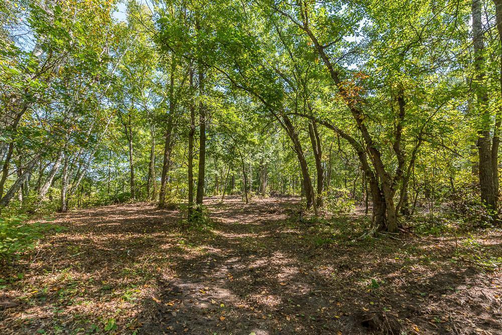 Tract B Tbd Tract B Tbd Little Pine Road Brainerd, MN 56401 - Photo 11 of 22