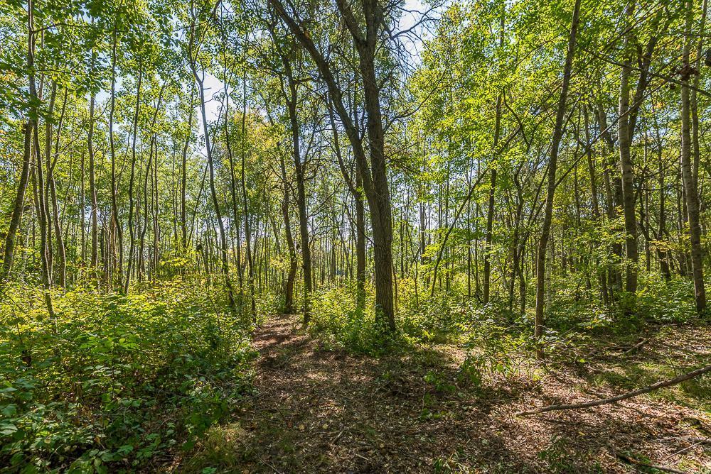 Tract B Tbd Tract B Tbd Little Pine Road Brainerd, MN 56401 - Photo 13 of 22