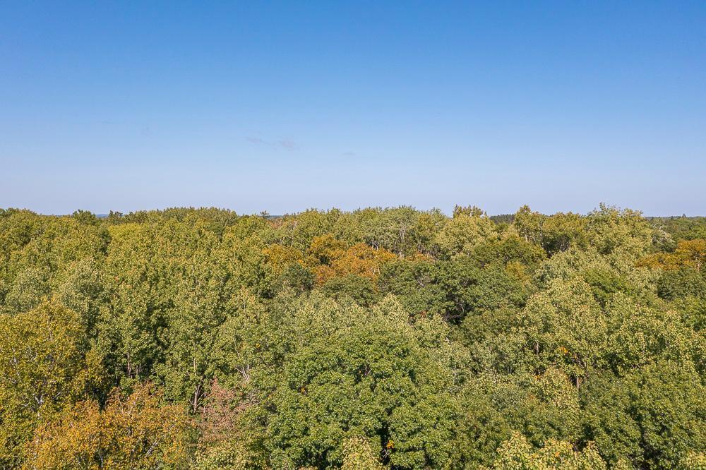 Tract B Tbd Tract B Tbd Little Pine Road Brainerd, MN 56401 - Photo 22 of 22
