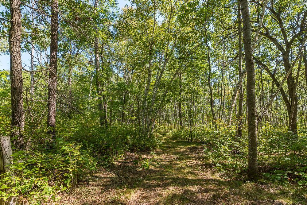 Tract B Tbd Tract B Tbd Little Pine Road Brainerd, MN 56401 - Photo 9 of 22