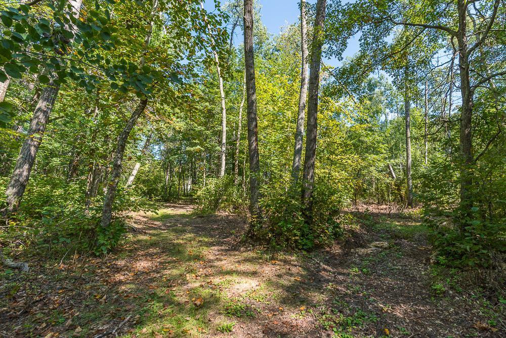 Tract B Tbd Tract B Tbd Little Pine Road Brainerd, MN 56401 - Photo 10 of 22