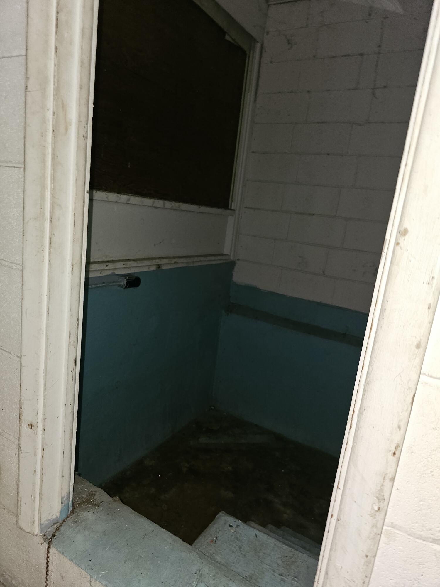 1126 Florence Street Augusta, GA 30901 - Photo 16 of 17 pit