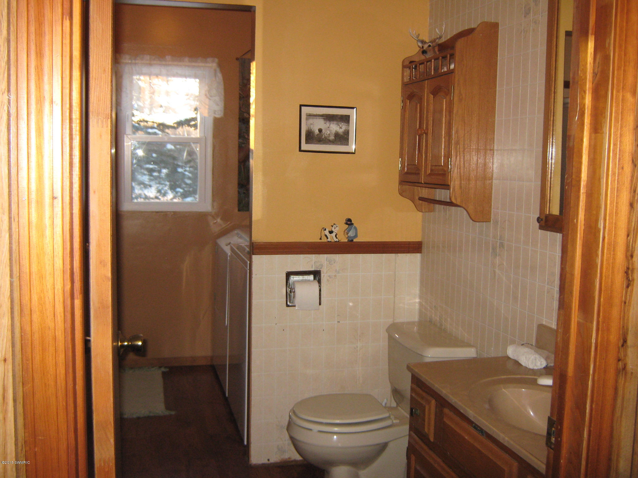 7233 East Hansen Road Fountain, MI 49410 - Photo 8 of 24 Master bath