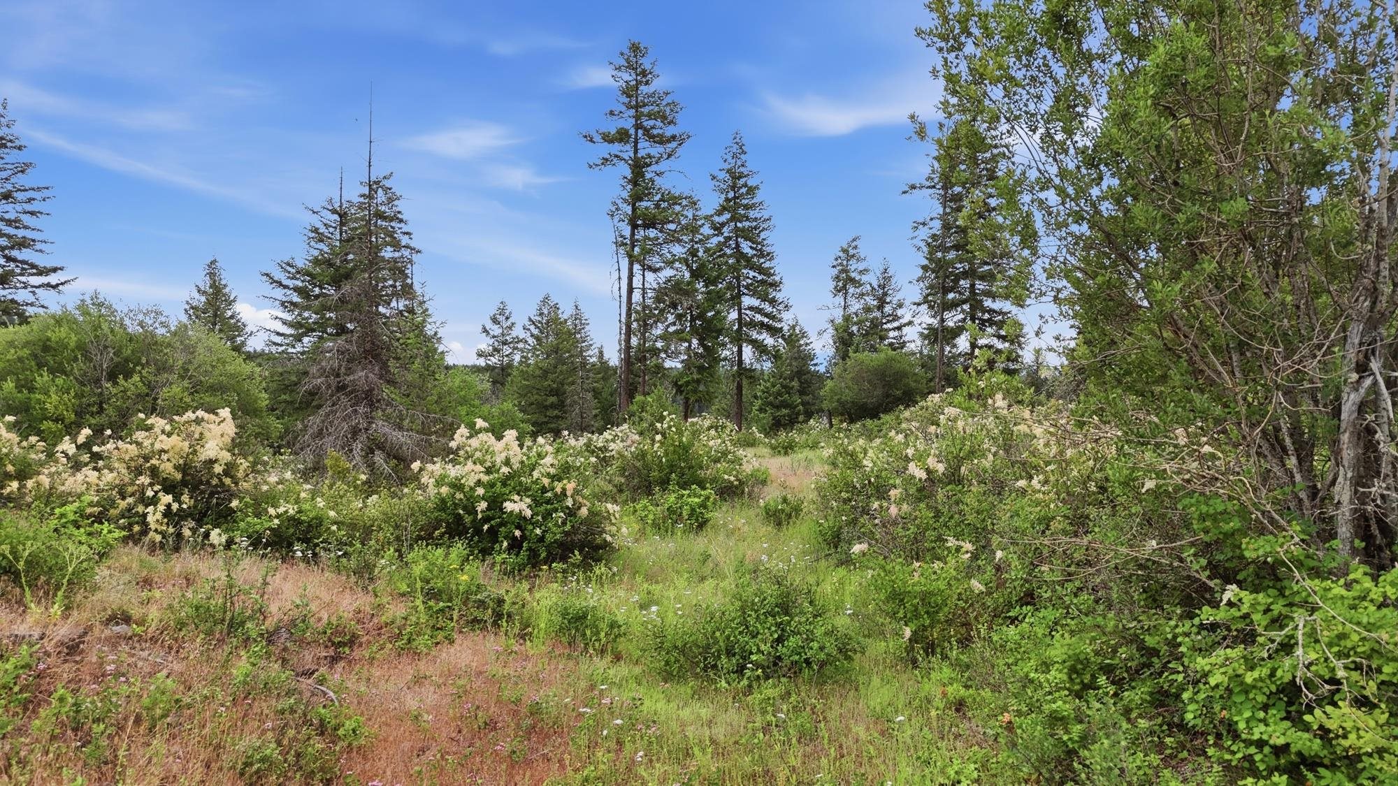 42700 North Hatch Road Deer Park, WA 99006 - Photo 15 of 16