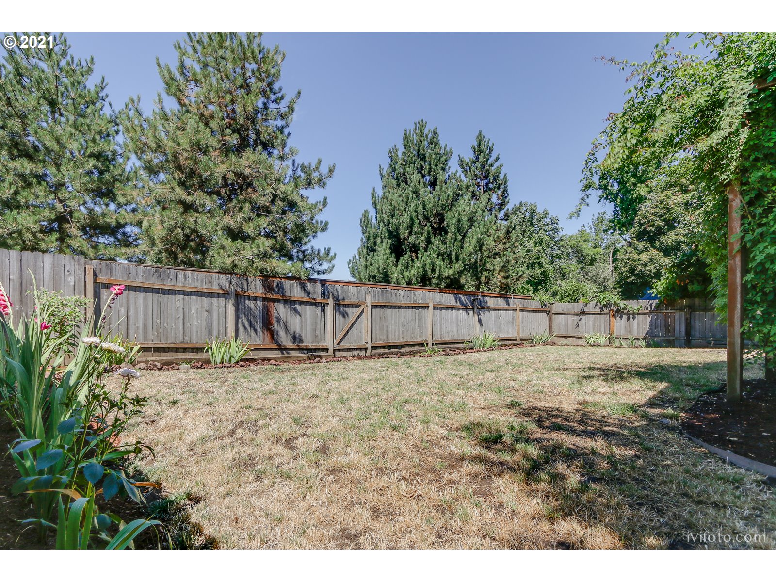 1962 5th Street Springfield, OR 97477 - Photo 20 of 22