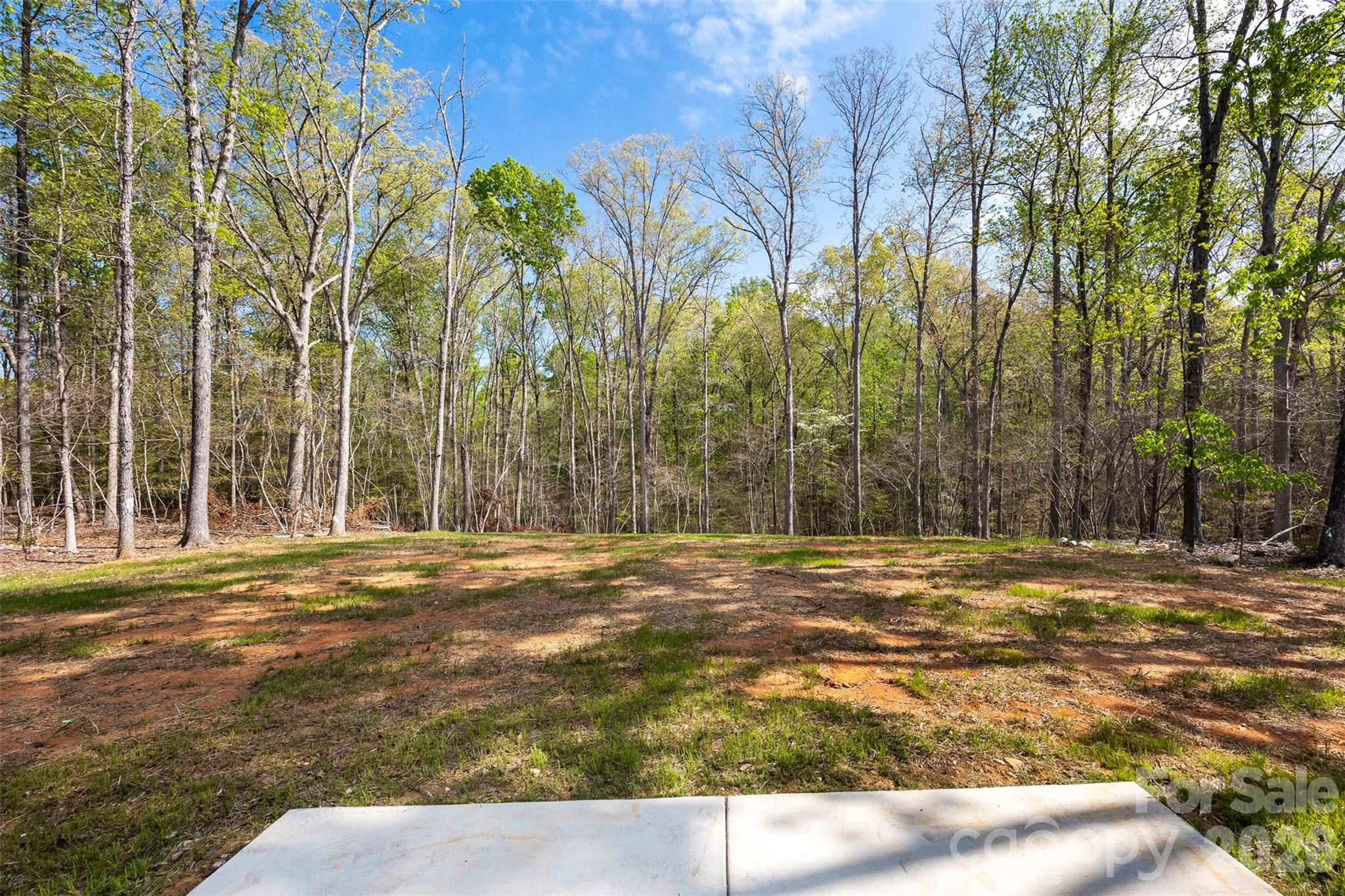 872 Roxboro Drive Mount Gilead, NC 27306 - Photo 28 of 41 a view of a backyard with large trees