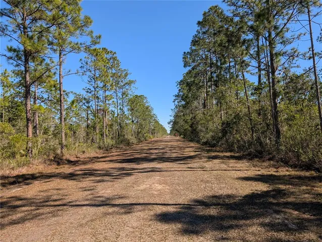 a view of a backyard of a house
