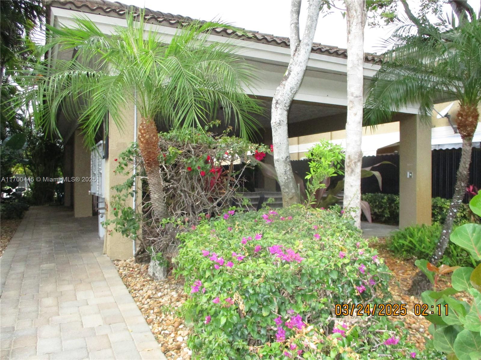a view of a potted flower in front of house