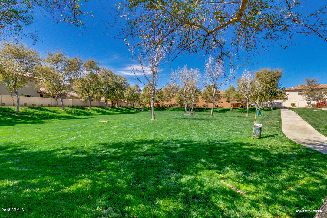 3920 South Rim Road Gilbert, AZ 85297 - Photo 38 of 41 38-Rim