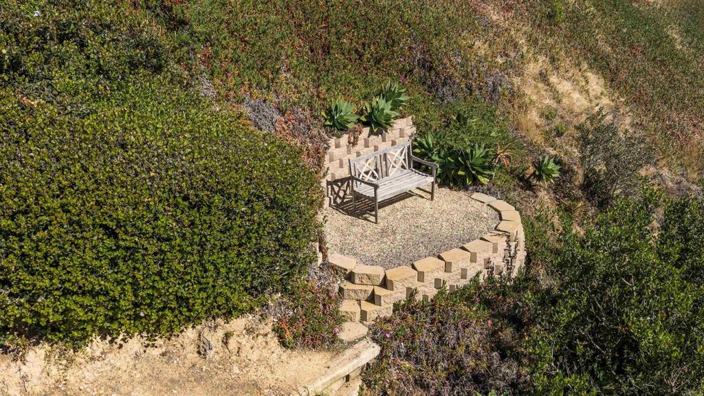 5958 Sagebrush Road La Jolla, CA 92037 - Photo 63 of 64 a close up of a plant in a garden