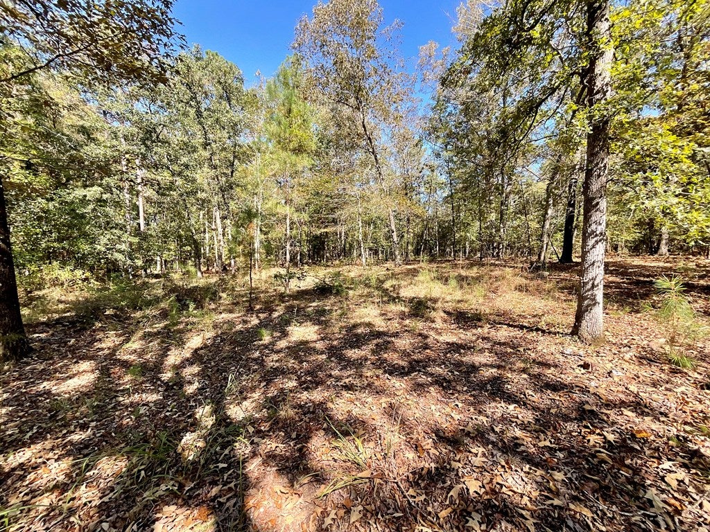 88 Wheeler Rogers Road Rupert, GA 31081 - Photo 38 of 73 Gallery Image 38
