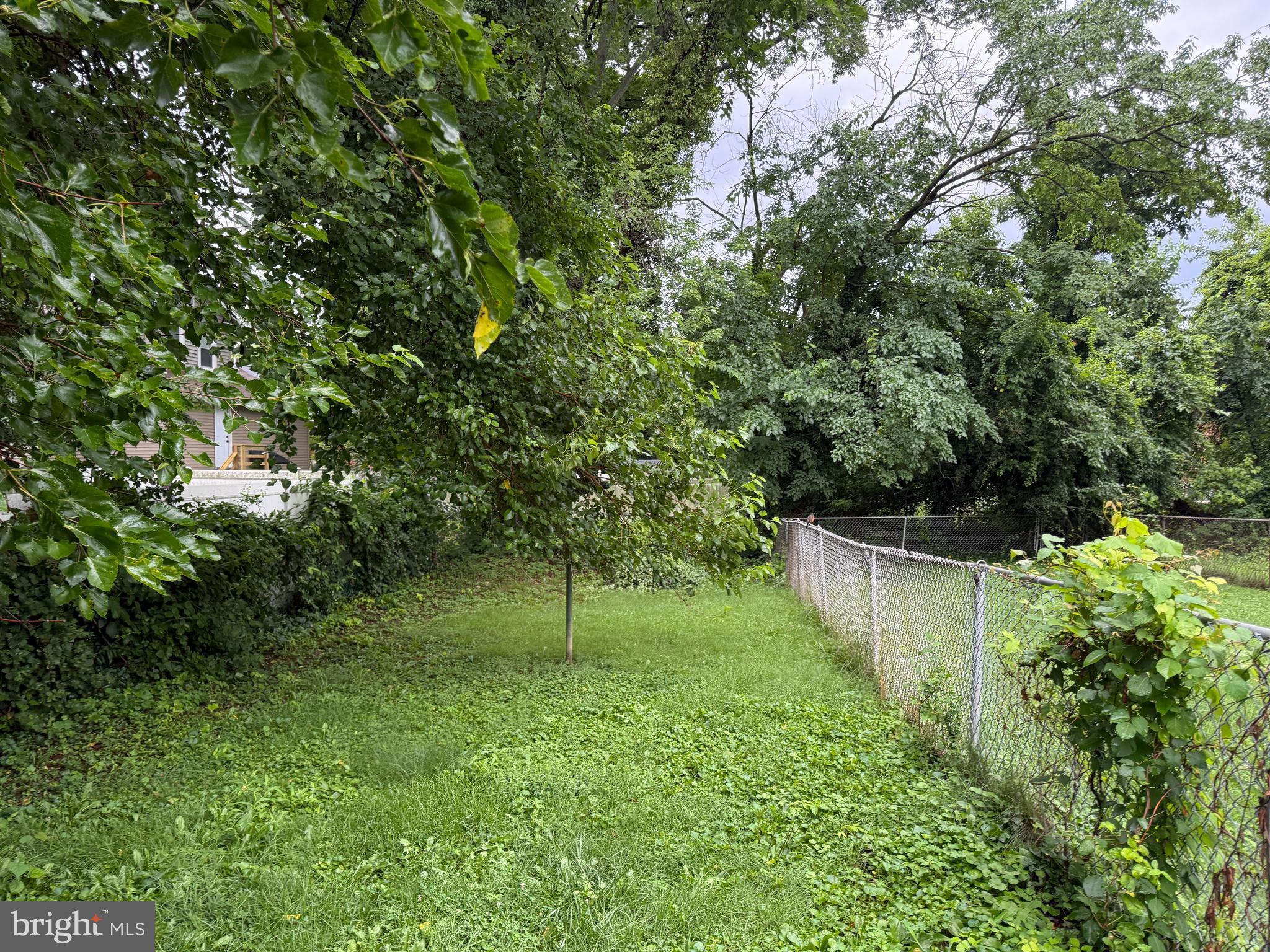 3901 Mortimer Avenue Baltimore, MD 21215 - Photo 21 of 21 a view of a backyard