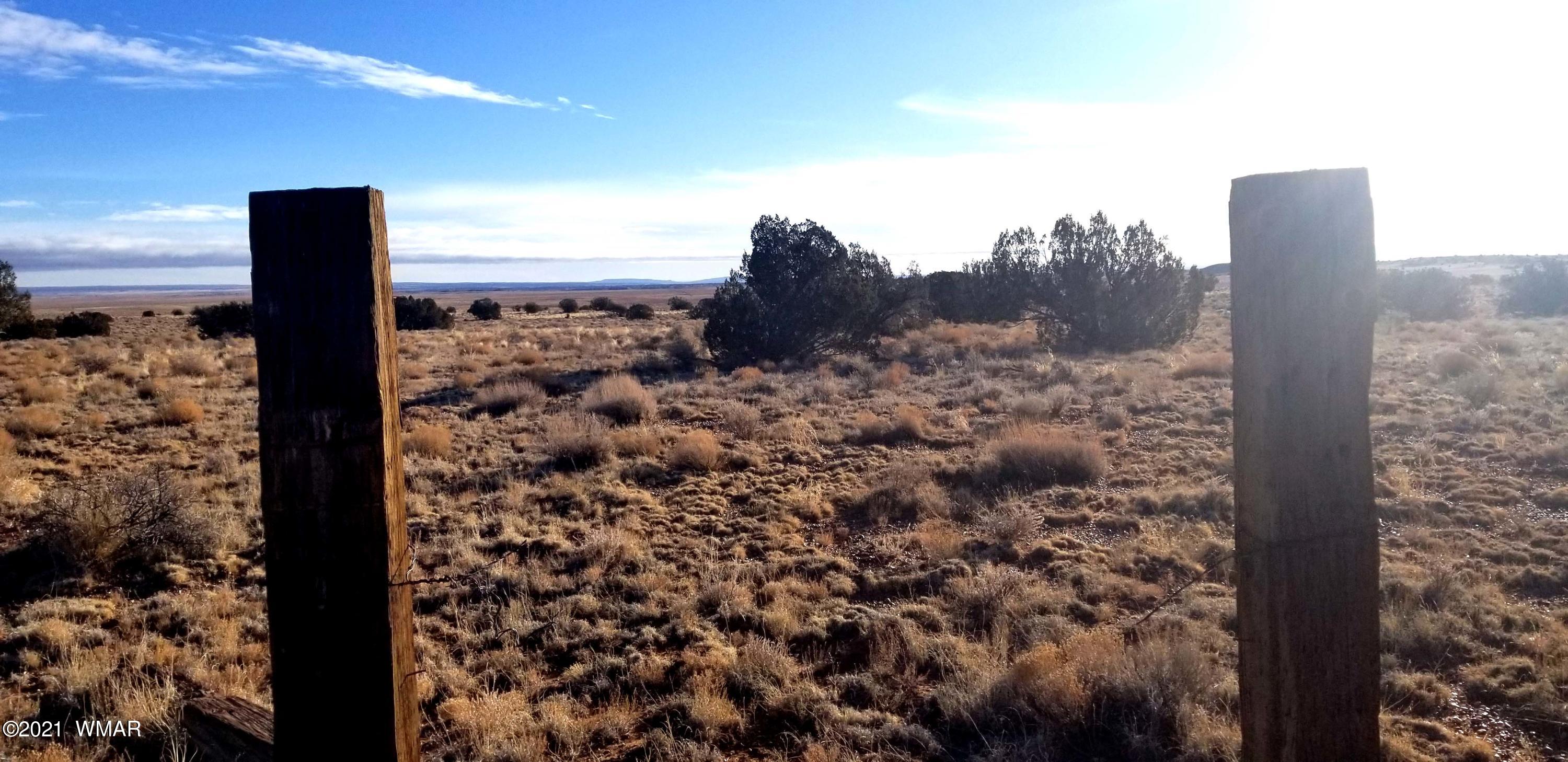5569 Sondy Road Snowflake, AZ 85937 - Photo 16 of 27
