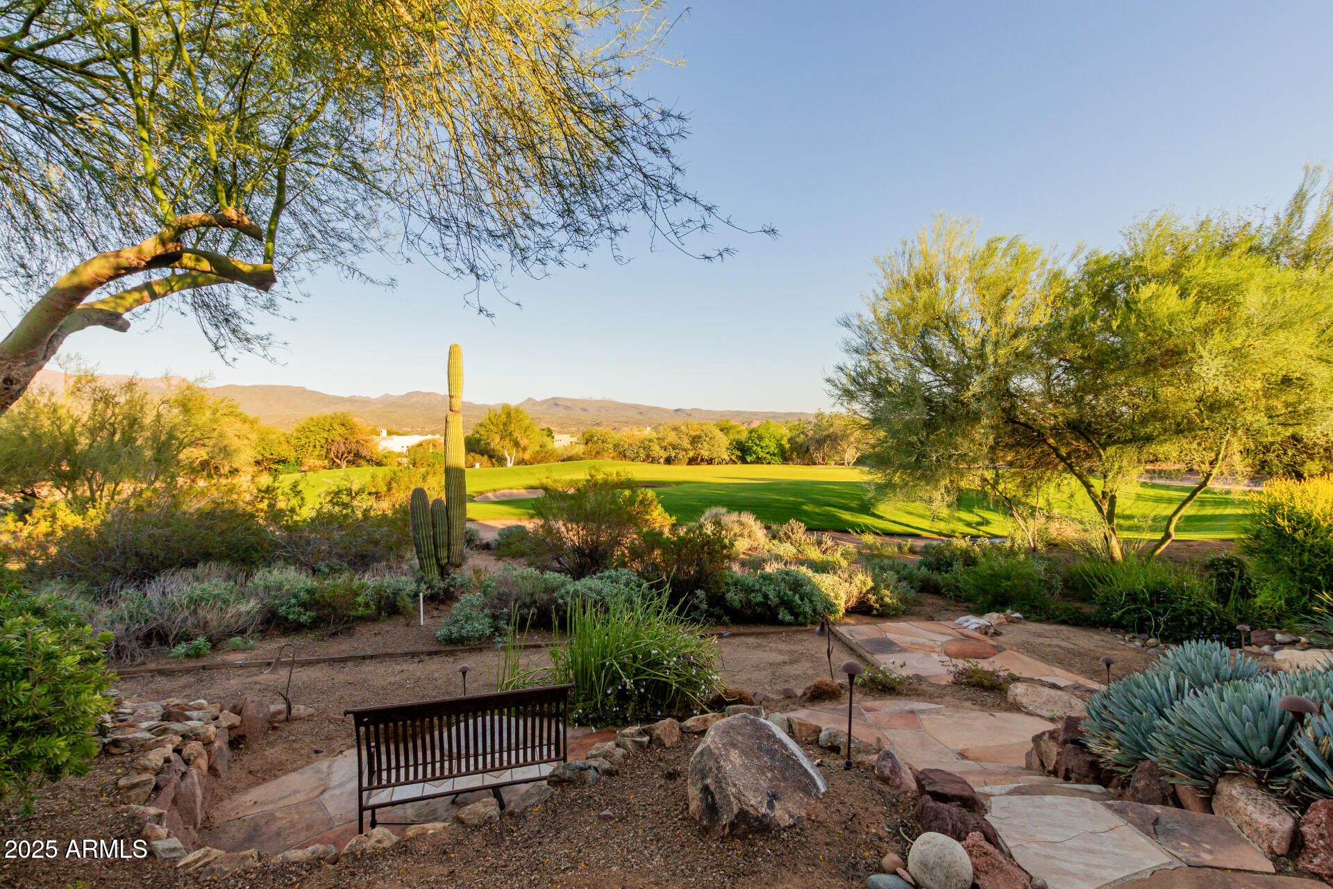 27609 Desierto Drive Rio Verde, AZ 85263 - Photo 53 of 86 a view of a yard