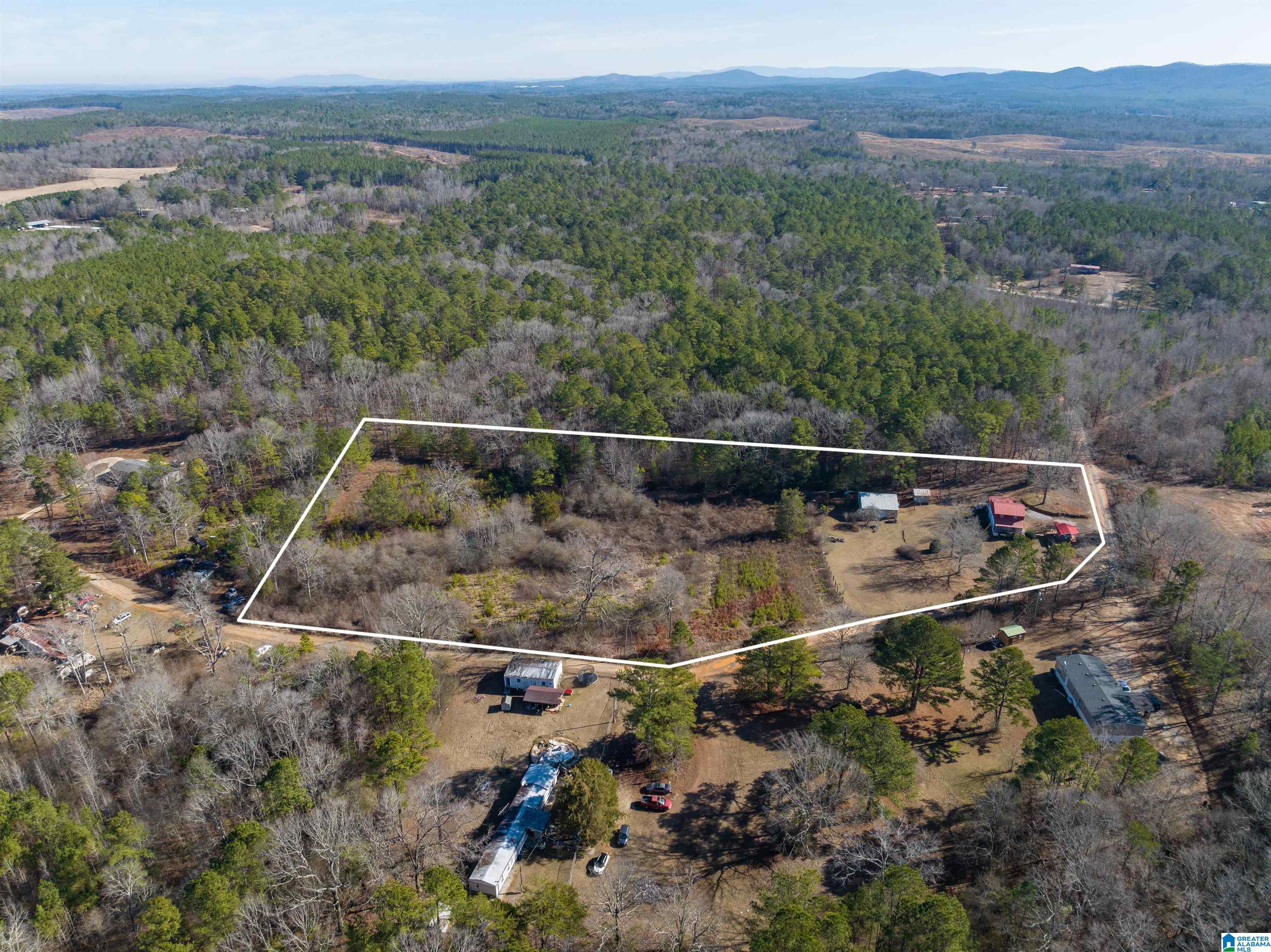 242 Strong Road Talladega, AL 35160 - Photo 5 of 51