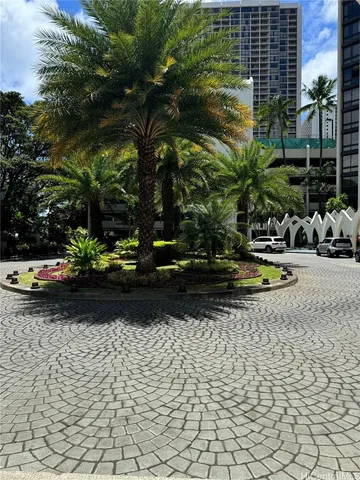 a view of a flower in a yard