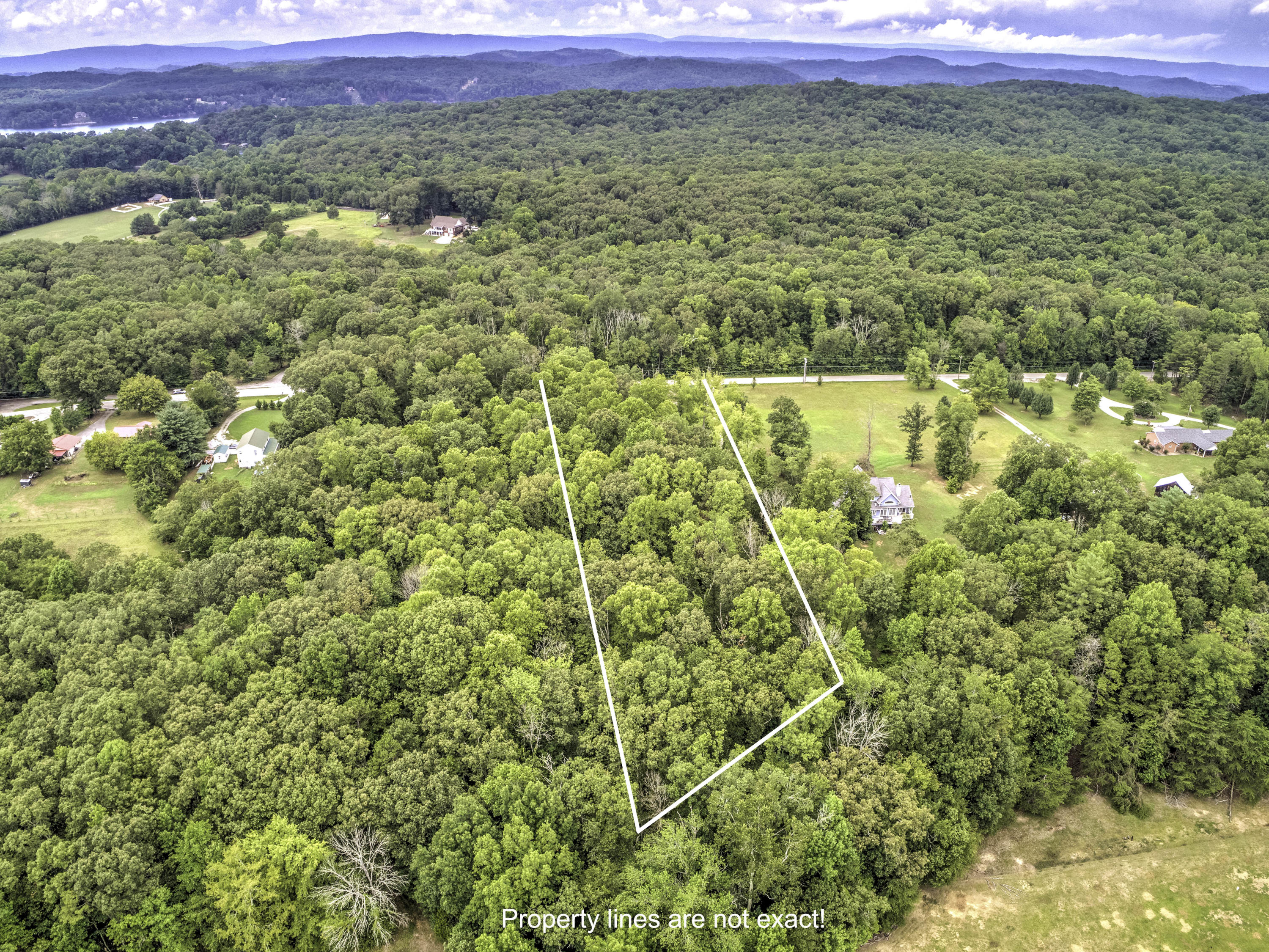 1297 River Road Kingston, TN 37763 - Photo 8 of 9 Drone 2