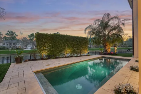 a view of a garden with palm trees