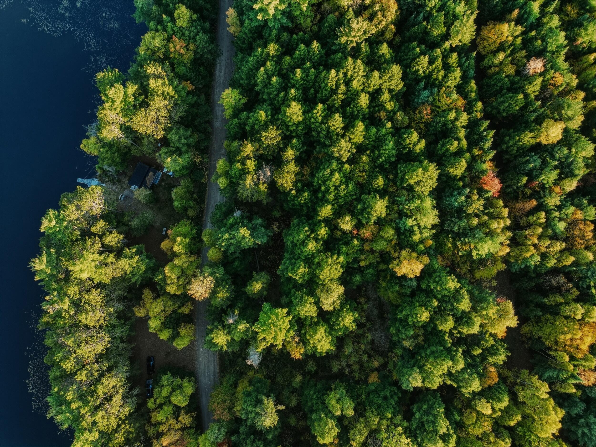 Lot 3 East Shore Road Lakeville, ME 04487 - Photo 3 of 59 e shore rd, lakeville, me 04487 - dji_08