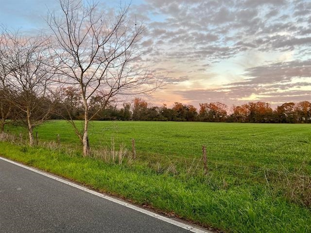 Lot 1 Cherry Tree Road Monticello, FL 32344 - Photo 9 of 10