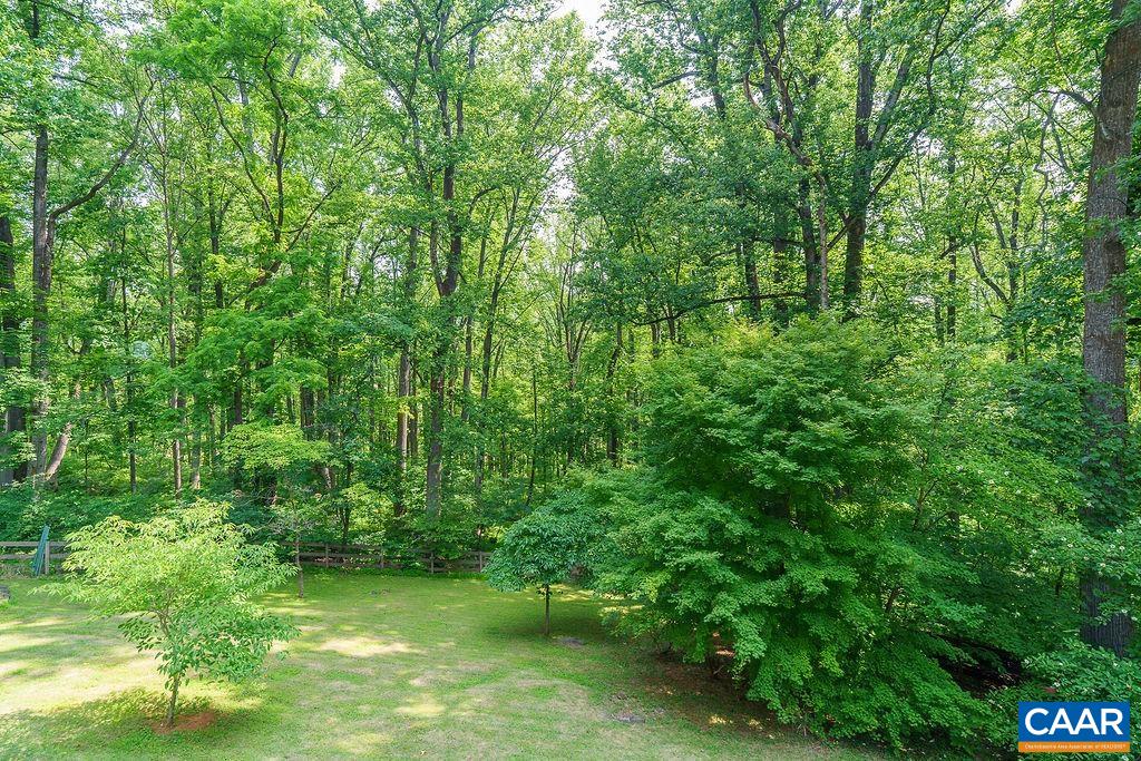 2220 Ridgeway Lane Charlottesville, VA 22911 - Photo 63 of 75 Gallery Image 63