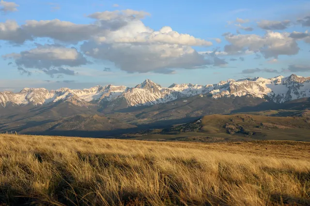 a view of a yard with an ocean