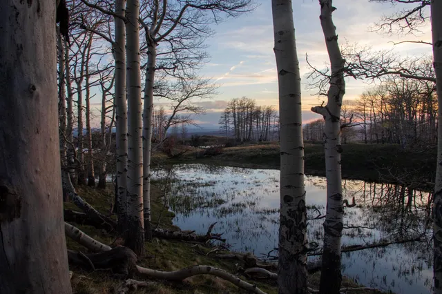 a view of an ocean beach
