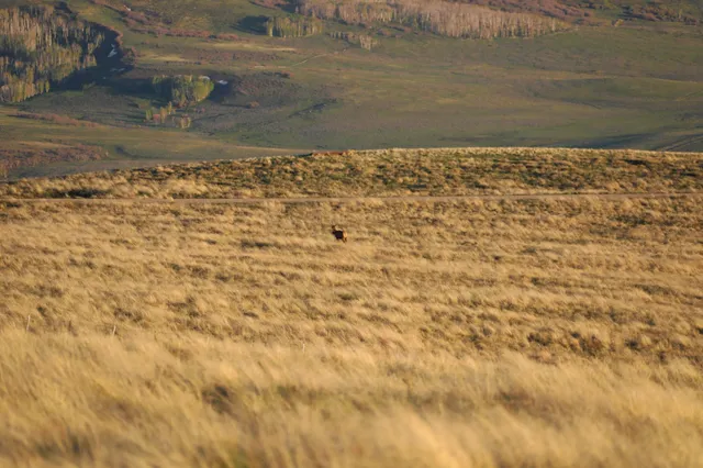 $2,650,000 | Tbd Tbd Hull Ridge Road, Montrose, CO 81403