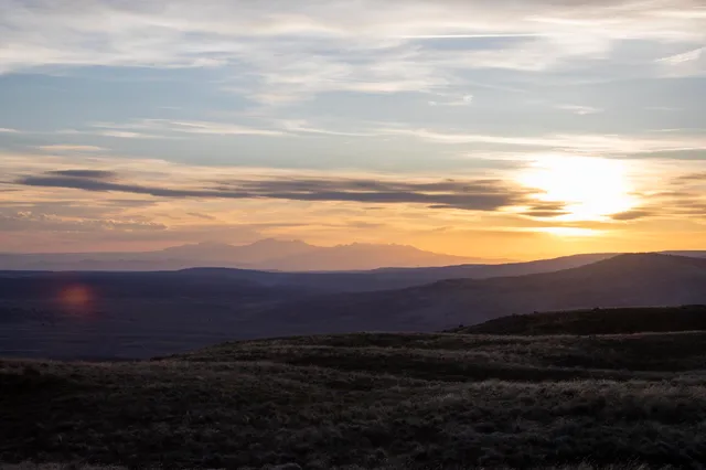 a view of an ocean from a yard