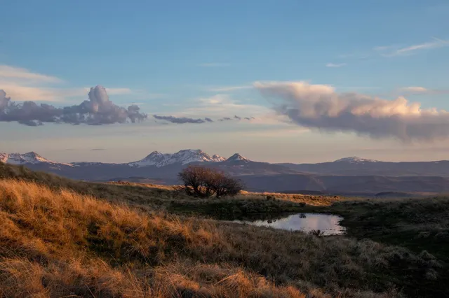 a view of a lake in middle of forest
