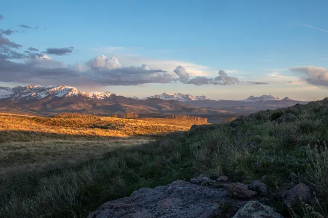 a view of outdoor space and yard