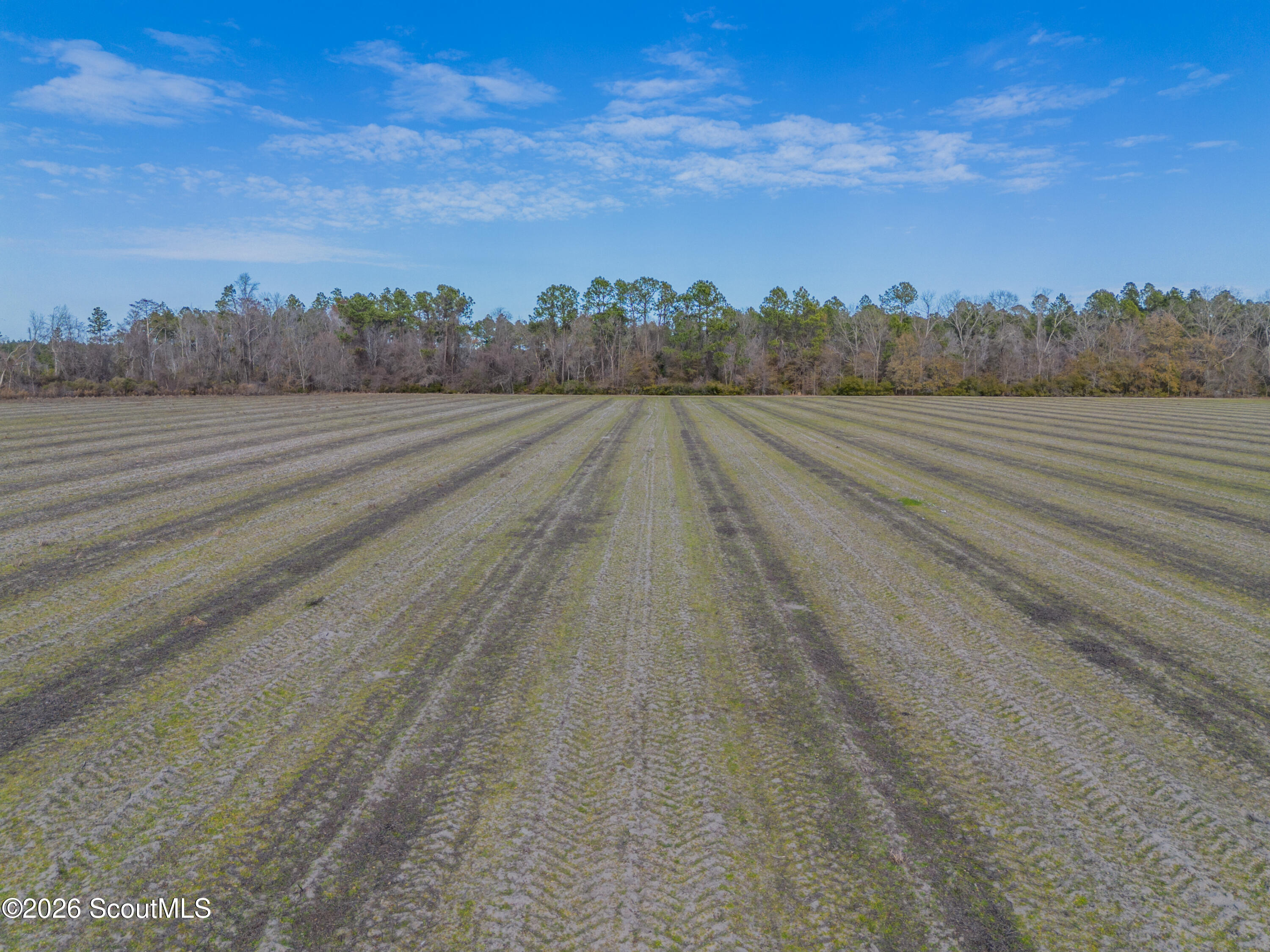 0 Reddish Road Odum, GA 31555 - Photo 21 of 46 230-AC-REDDISH-ODUM-20
