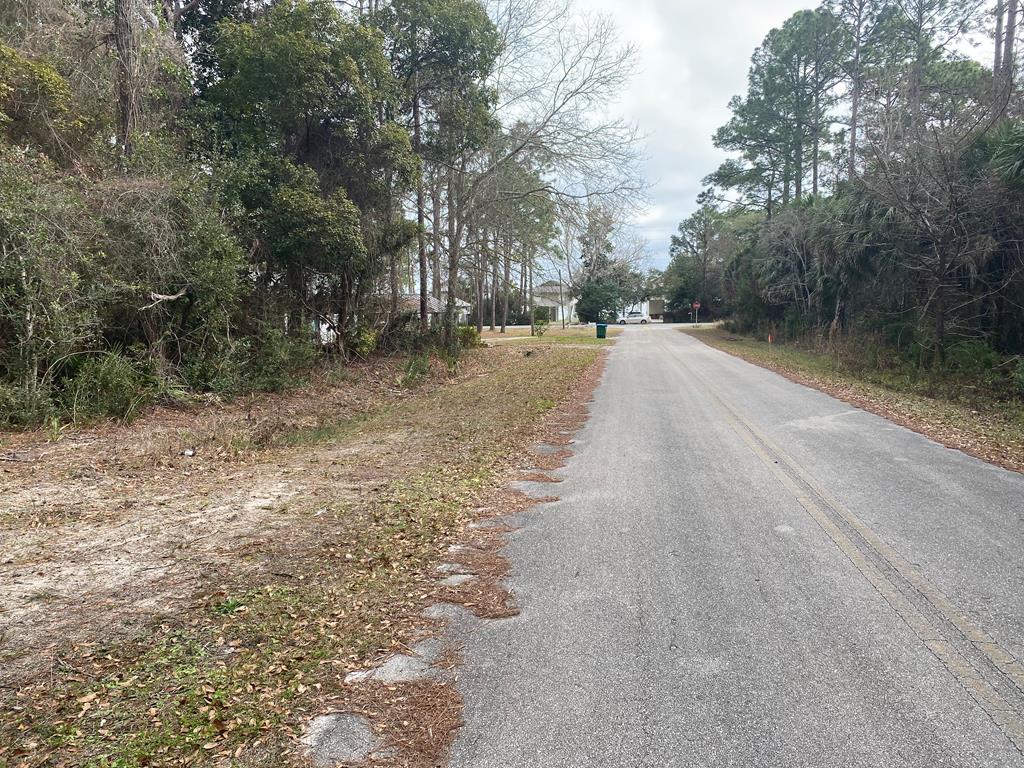 119 Infield Road Carrabelle, FL 32322 - Photo 4 of 6