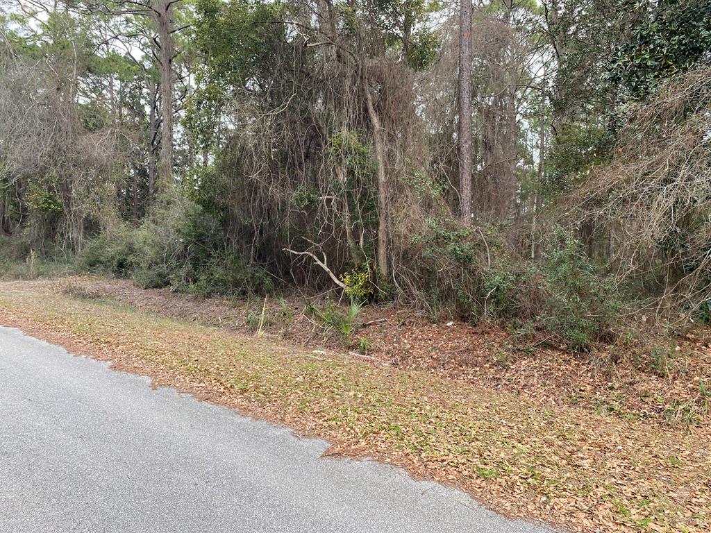 119 Infield Road Carrabelle, FL 32322 - Photo 5 of 6