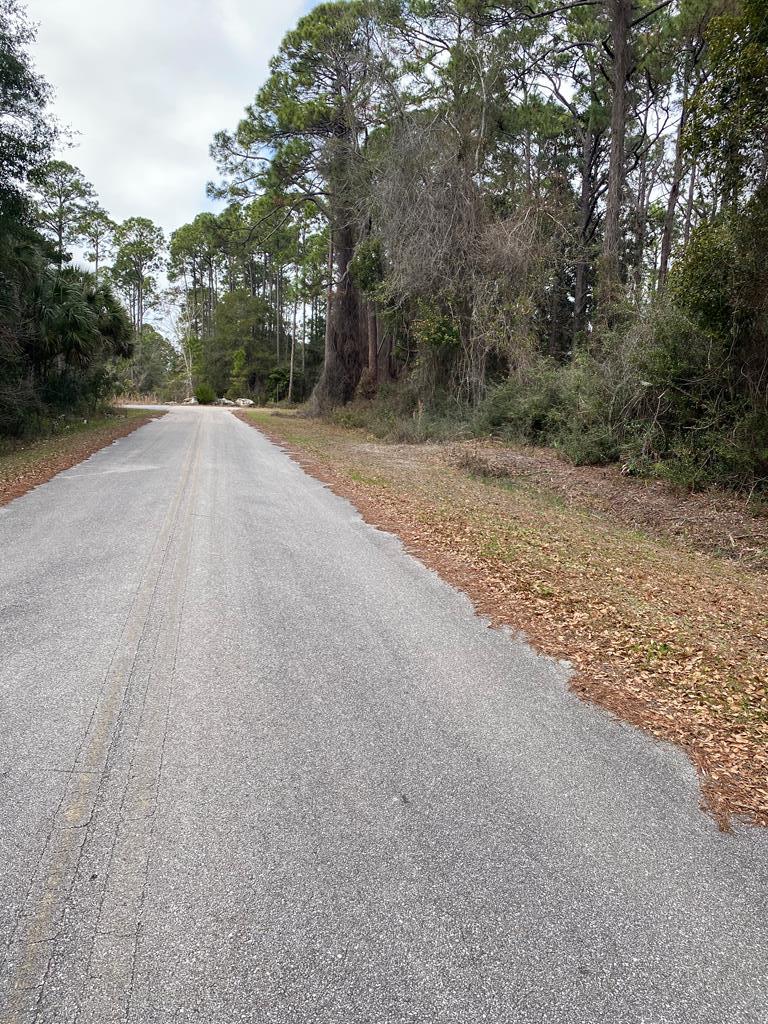 119 Infield Road Carrabelle, FL 32322 - Photo 6 of 6