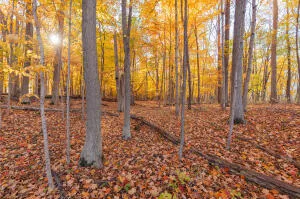 $1,370 | 1215 Corporate Drive, Adrian, MI 49221