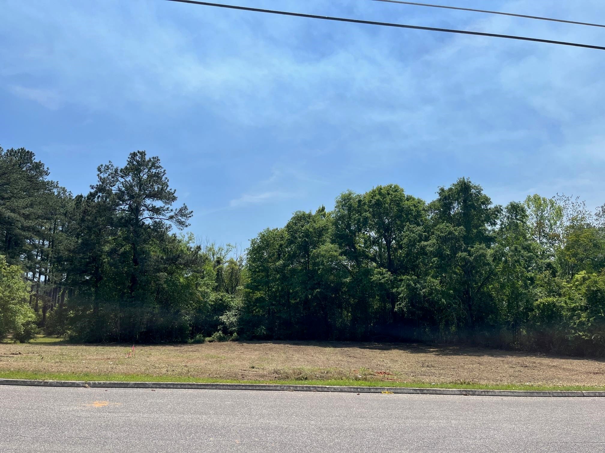 0 East Pass Road Andalusia, AL 36420 - Photo 2 of 3 Gallery Image 2